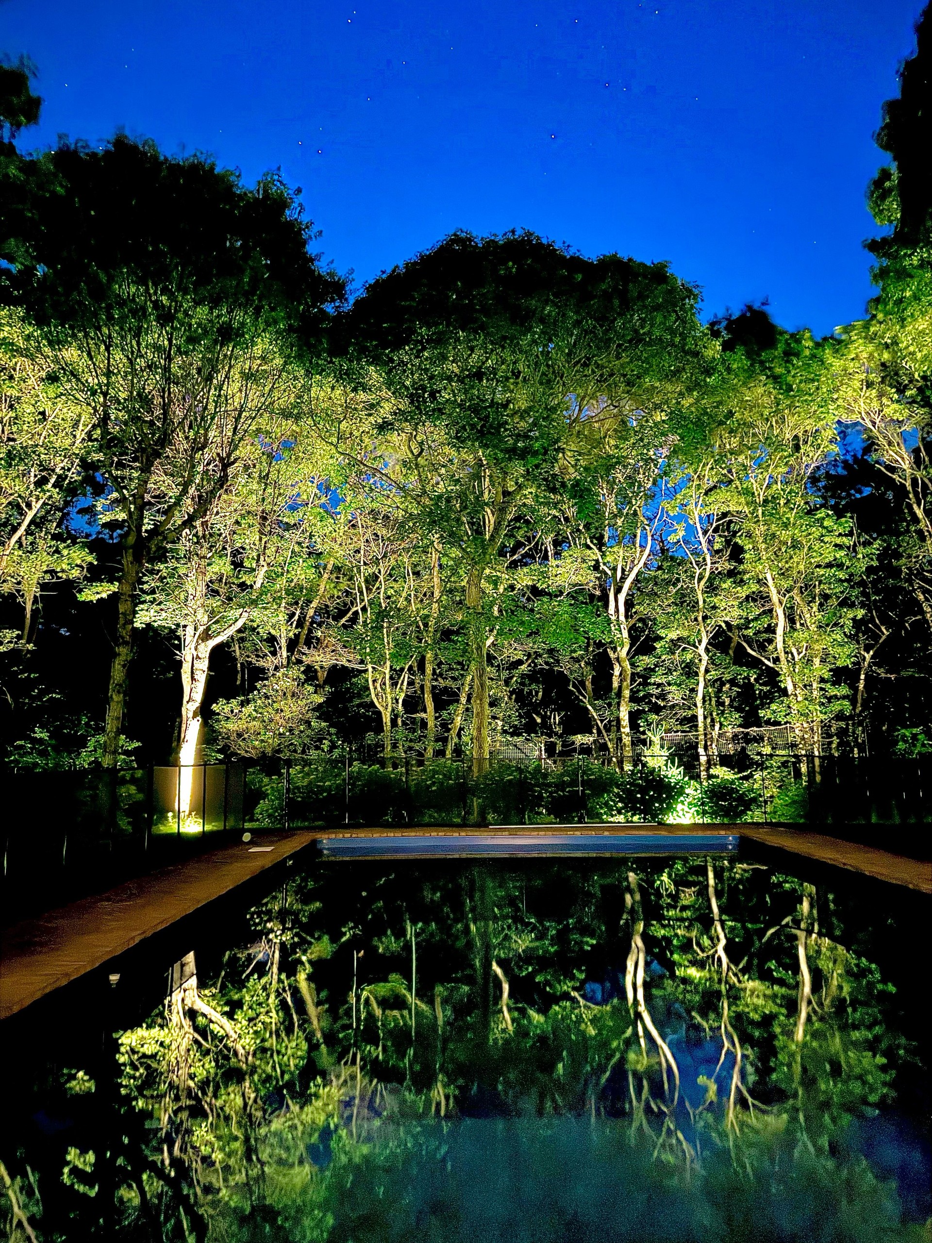 Starlit Reflections over Pool and Forest – East Hampton, New York